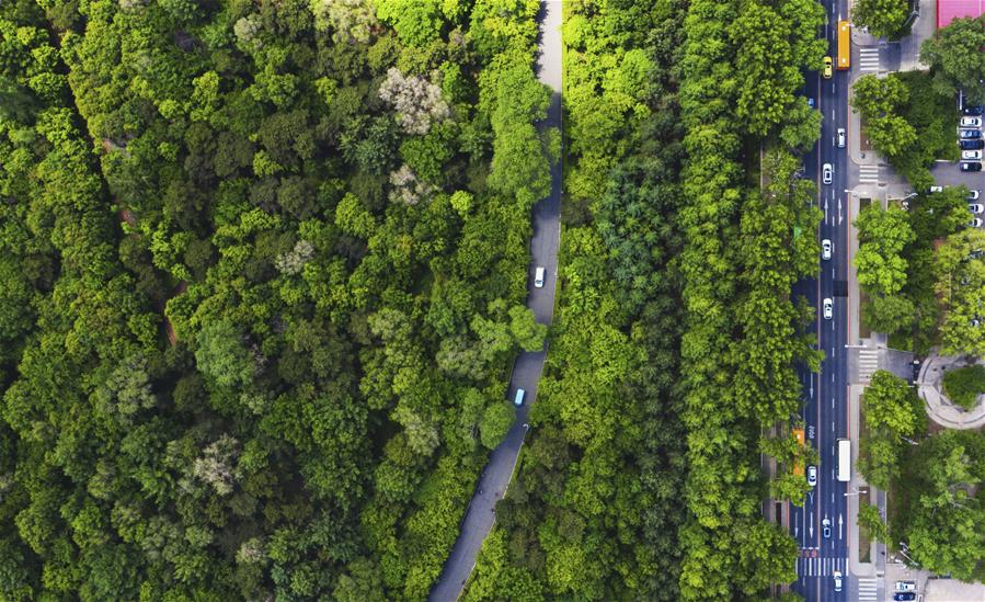 （環(huán)境）（3）長(zhǎng)春：城市&ldquo;綠妝&rdquo;