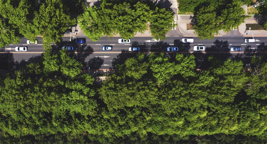 （環(huán)境）（5）長(zhǎng)春：城市&ldquo;綠妝&rdquo;