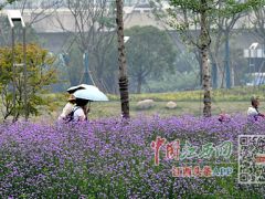 昔日垃圾場變身城市公園