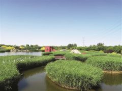 臨港濕地公園：“環(huán)?！薄邦佒怠奔嫒莶⑿?/></a>　　臨港生態(tài)濕地公園　　由天津港保稅區(qū)管委會作為執(zhí)行機構(gòu)的亞洲開發(fā)銀行貸款項目天津海河河口地區(qū)污染控制與生態(tài)恢復項目近期完成貸款賬戶清戶，其中，濕地生態(tài)恢復子項目建設了63公頃臨港生態(tài)濕地公園(一期)，具備污水處理、生態(tài)恢復和景觀...<a href=