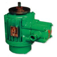 赤峰起升電機(jī)高品質(zhì)