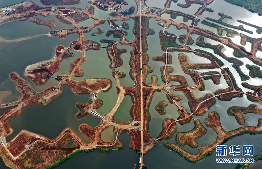 （環(huán)境）（3）?？诮瓥|新區(qū)生態(tài)修復(fù)