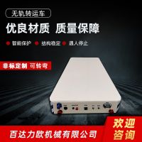 屏東電動平車生產供應商—百達力歐公司制造