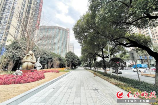 　　開福區(qū)芙蓉路綠葉女廣場周邊實(shí)施提質(zhì)后的景象。長沙晚報(bào)通訊員 陳偉 攝