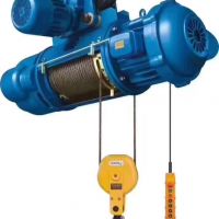 ?？陔妱?dòng)葫蘆可定制