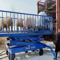 河南升降平臺廠家、轉(zhuǎn)豬臺、升降平臺銷售