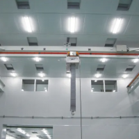 成都潔凈起重機(jī)、10萬級潔凈室行車！